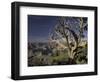 Grand Canyon from South Rim, Grand Canyon National Park, Arizona, USA-Adam Jones-Framed Photographic Print