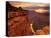 Grand Canyon from Toroweap Point-Ron Watts-Stretched Canvas