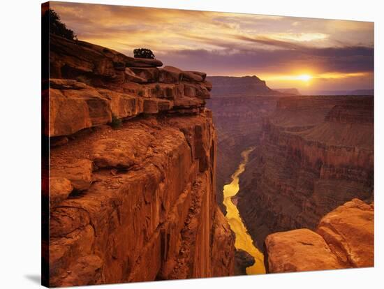 Grand Canyon from Toroweap Point-Ron Watts-Stretched Canvas