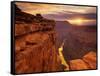 Grand Canyon from Toroweap Point-Ron Watts-Framed Stretched Canvas