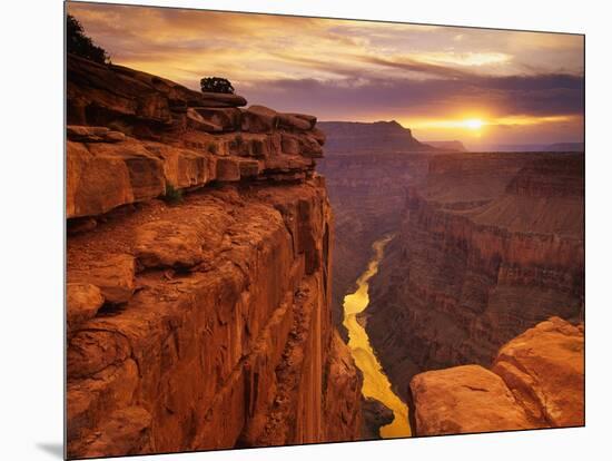 Grand Canyon from Toroweap Point-Ron Watts-Mounted Photographic Print