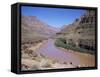 Grand Canyon Gorge, Las Vegas, Nevada, United States of America (U.S.A.), North America-Alison Wright-Framed Stretched Canvas
