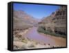 Grand Canyon Gorge, Las Vegas, Nevada, United States of America (U.S.A.), North America-Alison Wright-Framed Stretched Canvas