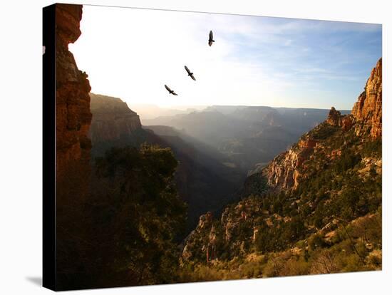 Grand Canyon II-Dale MacMillan-Stretched Canvas