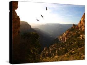 Grand Canyon II-Dale MacMillan-Stretched Canvas