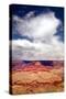 Grand Canyon II-Douglas Taylor-Stretched Canvas