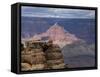 Grand Canyon III-J.D. Mcfarlan-Framed Stretched Canvas