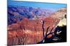 Grand Canyon in Red Glow-George Oze-Mounted Photographic Print