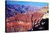Grand Canyon in Red Glow-George Oze-Stretched Canvas