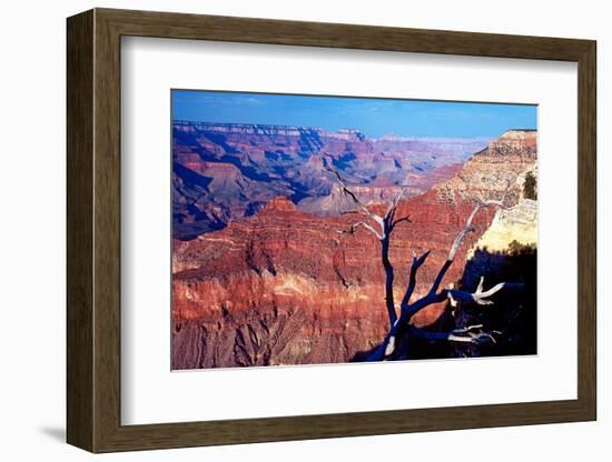 Grand Canyon in Red Glow-George Oze-Framed Photographic Print