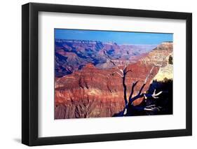 Grand Canyon in Red Glow-George Oze-Framed Photographic Print