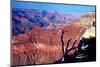 Grand Canyon in Red Glow-George Oze-Mounted Photographic Print