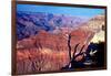 Grand Canyon in Red Glow-George Oze-Framed Photographic Print