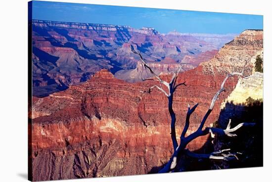 Grand Canyon in Red Glow-George Oze-Stretched Canvas