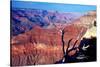 Grand Canyon in Red Glow-George Oze-Stretched Canvas