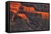 Grand Canyon Light-Steve Gadomski-Framed Stretched Canvas