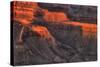 Grand Canyon Light-Steve Gadomski-Stretched Canvas