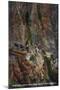 Grand Canyon Nat'l Park, Arizona - Cape Horn, Bright Angel Trail-Lantern Press-Mounted Art Print