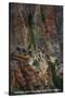 Grand Canyon Nat'l Park, Arizona - Cape Horn, Bright Angel Trail-Lantern Press-Stretched Canvas