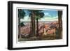 Grand Canyon Nat'l Park, Arizona - Panoramic View from Point Imperial, c.1938-Lantern Press-Framed Art Print