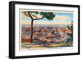 Grand Canyon Nat'l Park, Arizona - Yavapai Footpath View of Canyon-Lantern Press-Framed Art Print