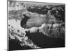 Grand Canyon National Park. Arizona 1933-1942-Ansel Adams-Mounted Art Print