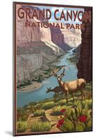 Grand CaNYon National Park, Arizona, Deer Scene-null-Mounted Poster