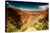 Grand Canyon - National Park - Arizona - United States-Philippe Hugonnard-Stretched Canvas