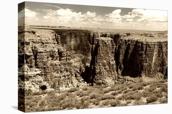 Grand Canyon - National Park - Arizona - United States-Philippe Hugonnard-Stretched Canvas