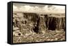 Grand Canyon - National Park - Arizona - United States-Philippe Hugonnard-Framed Stretched Canvas