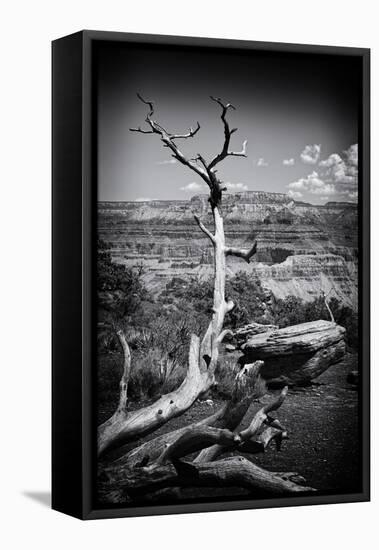 Grand Canyon - National Park - Arizona - United States-Philippe Hugonnard-Framed Stretched Canvas