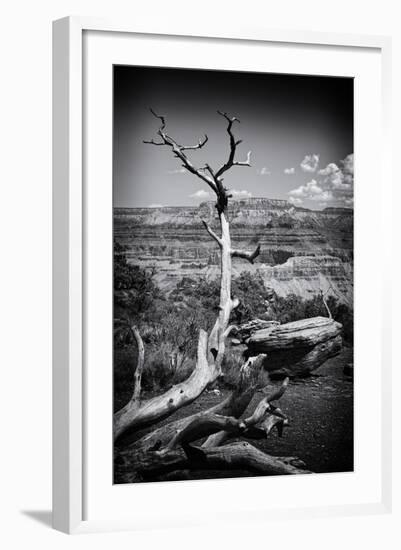 Grand Canyon - National Park - Arizona - United States-Philippe Hugonnard-Framed Photographic Print