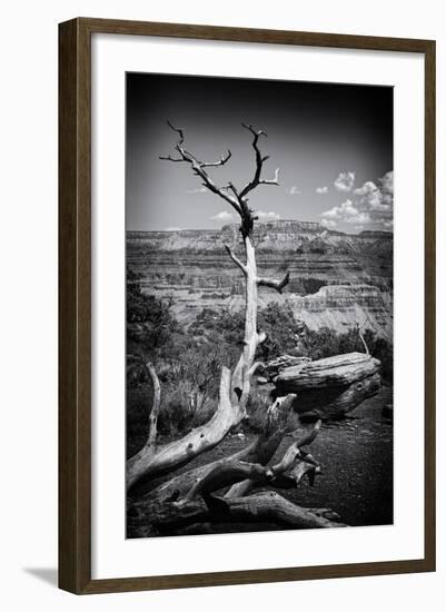 Grand Canyon - National Park - Arizona - United States-Philippe Hugonnard-Framed Photographic Print