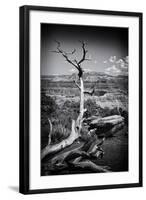 Grand Canyon - National Park - Arizona - United States-Philippe Hugonnard-Framed Photographic Print