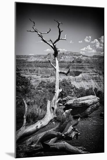 Grand Canyon - National Park - Arizona - United States-Philippe Hugonnard-Mounted Photographic Print