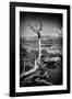 Grand Canyon - National Park - Arizona - United States-Philippe Hugonnard-Framed Photographic Print