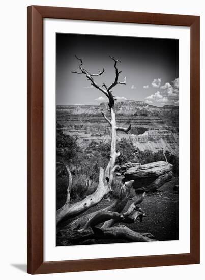 Grand Canyon - National Park - Arizona - United States-Philippe Hugonnard-Framed Photographic Print