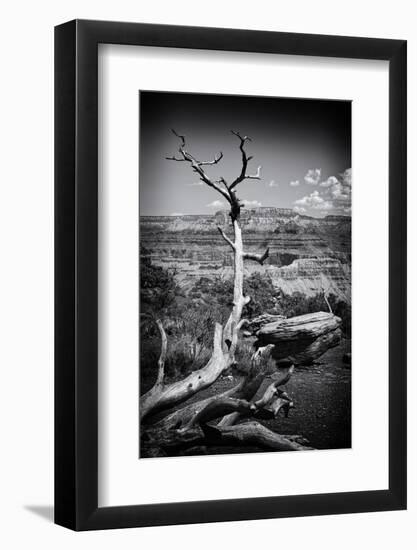 Grand Canyon - National Park - Arizona - United States-Philippe Hugonnard-Framed Photographic Print