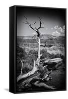 Grand Canyon - National Park - Arizona - United States-Philippe Hugonnard-Framed Stretched Canvas