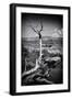 Grand Canyon - National Park - Arizona - United States-Philippe Hugonnard-Framed Photographic Print