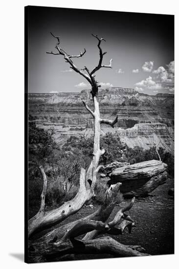 Grand Canyon - National Park - Arizona - United States-Philippe Hugonnard-Stretched Canvas