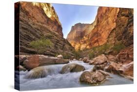 Grand Canyon National Park, Arizona, USA-Matt Freedman-Stretched Canvas