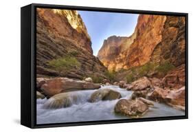 Grand Canyon National Park, Arizona, USA-Matt Freedman-Framed Stretched Canvas