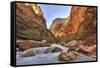 Grand Canyon National Park, Arizona, USA-Matt Freedman-Framed Stretched Canvas