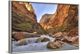 Grand Canyon National Park, Arizona, USA-Matt Freedman-Framed Photographic Print