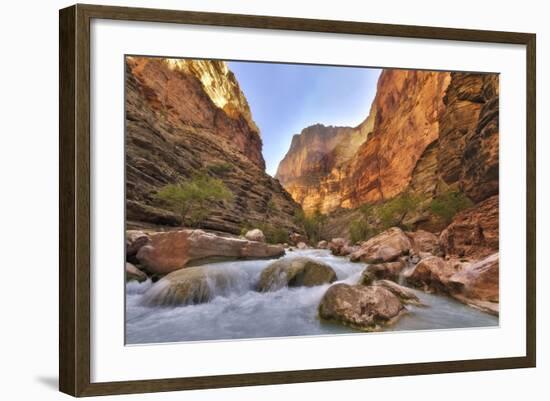 Grand Canyon National Park, Arizona, USA-Matt Freedman-Framed Photographic Print