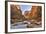 Grand Canyon National Park, Arizona, USA-Matt Freedman-Framed Photographic Print