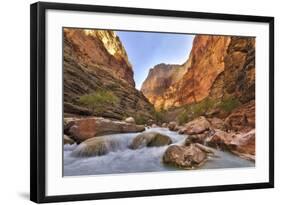 Grand Canyon National Park, Arizona, USA-Matt Freedman-Framed Photographic Print