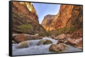 Grand Canyon National Park, Arizona, USA-Matt Freedman-Framed Stretched Canvas