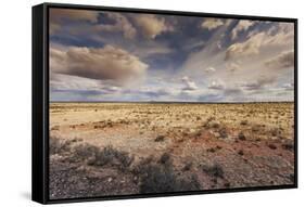 Grand Canyon National Park, Arizona-Curioso Travel Photography-Framed Stretched Canvas